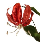 Lelie Gloriosa, fluweel, 'Glamour' met 2 bloemen, 1 bloemknop (gouden meeldraden) & 1 gouden knop & 6 bladeren, 80 cm