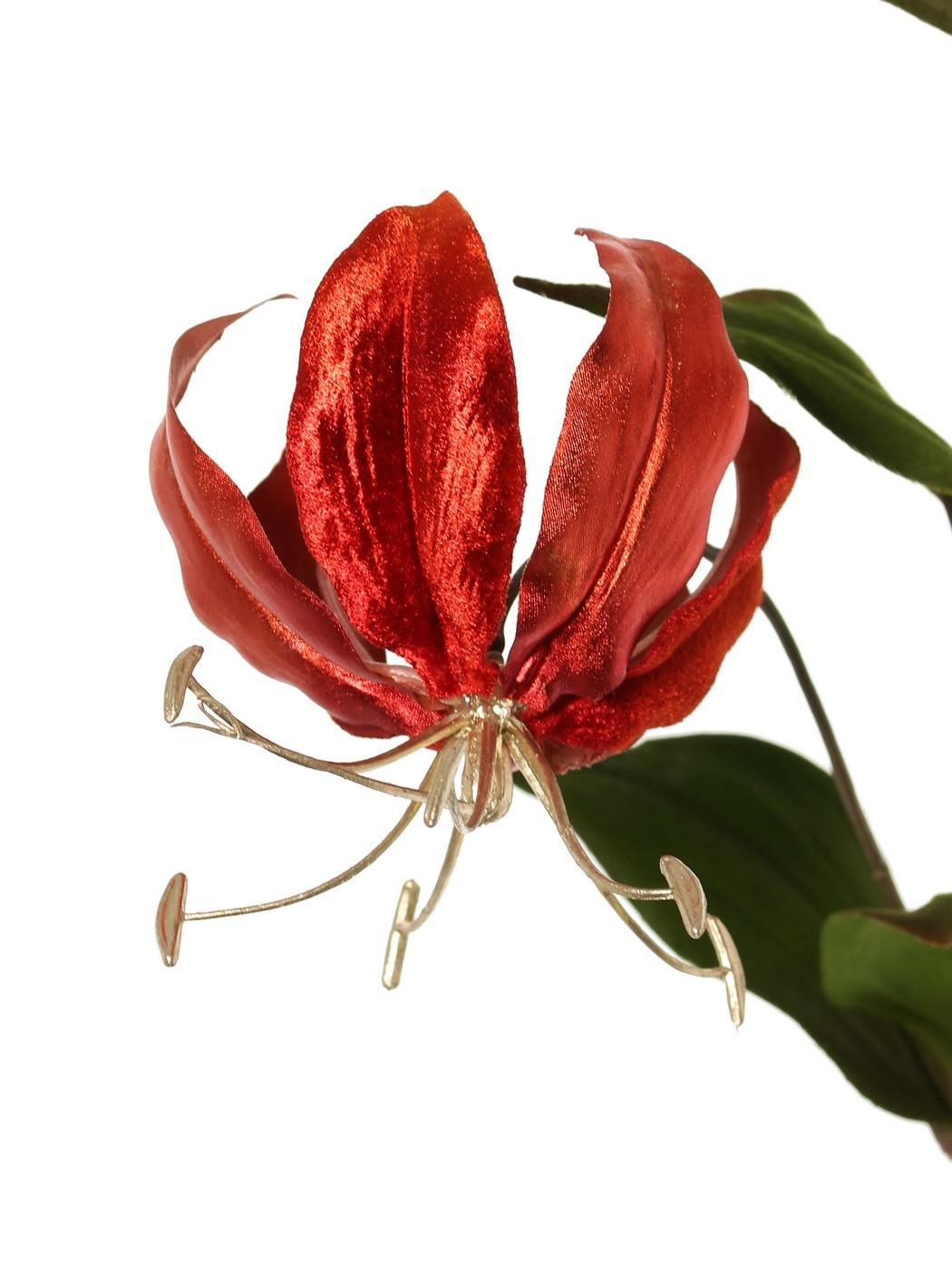Lilie Gloriosa , Samt, 'Glamour' mit 2 Blüten, 1 Blütenknospe (goldenes Staubblatt) & 1 goldene Knospe & 6 Blättern 80 cm
