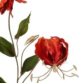 Lelie Gloriosa, fluweel, 'Glamour' met 2 bloemen, 1 bloemknop (gouden meeldraden) & 1 gouden knop & 6 bladeren, 80 cm