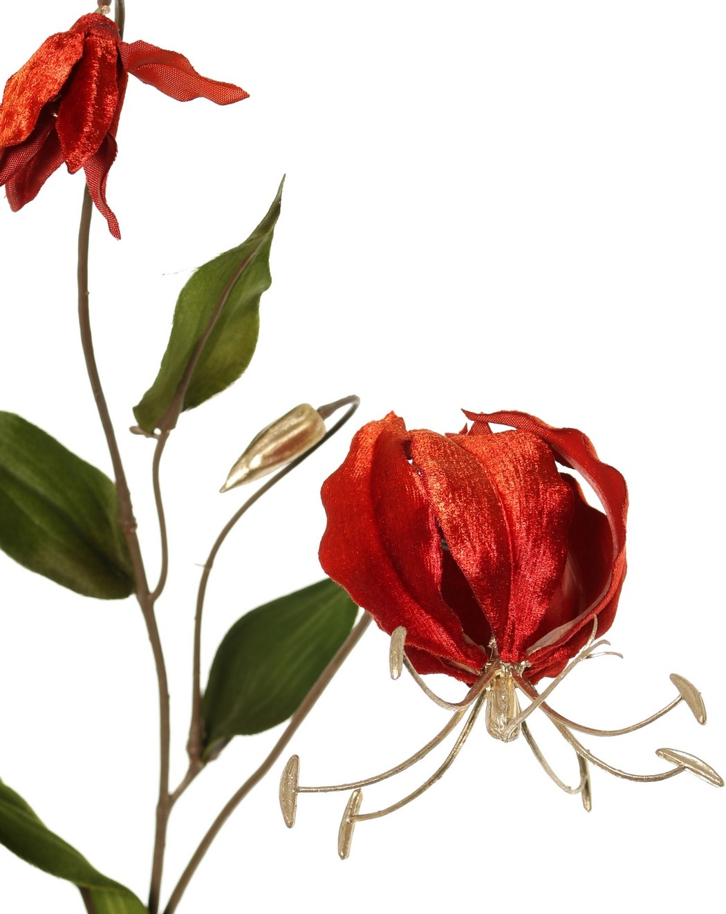 Gloriosa lily, velvet, 'Glamour' with 2 flrs, 1 flr bud (golden stamen) & 1 golden bud & 6 leaves 80 cm