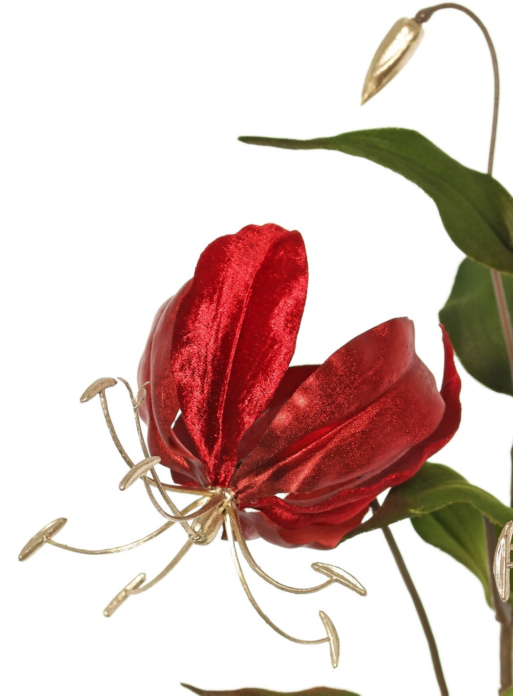 Lilie Gloriosa , Samt, 'Glamour' mit 2 Blüten, 1 Blütenknospe (goldenes Staubblatt) & 1 goldene Knospe & 6 Blättern 80 cm