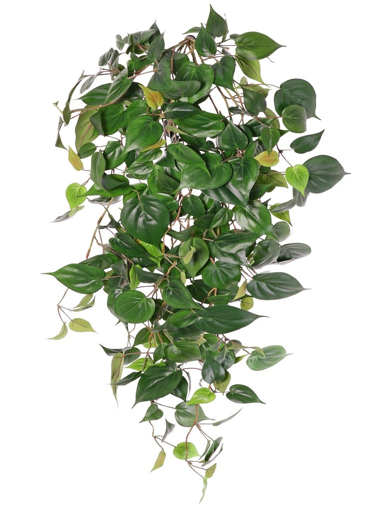 Philodendron plant XL, 10 uitlopers, 269 bladeren, brandvertragend, 106 cm