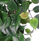 Philodendron plant XL, 10 uitlopers, 269 bladeren, brandvertragend, 106 cm