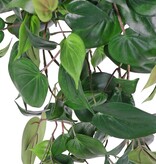 Philodendron XL, 10 vástagos y 269 hojas, 106 cm - resistente al fuego