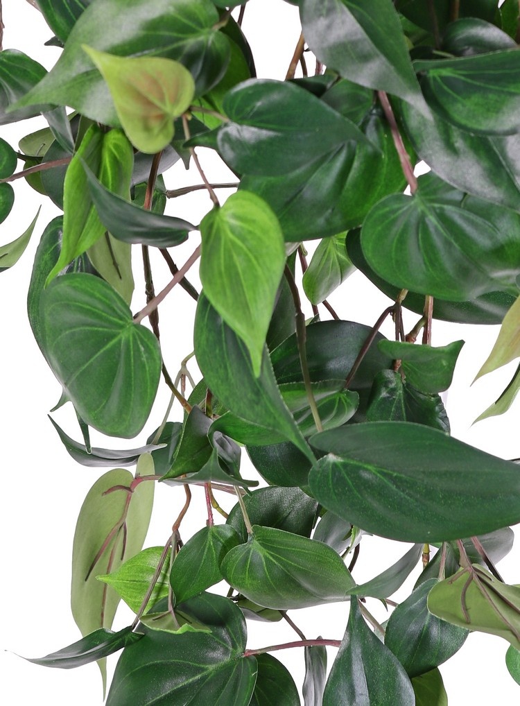 Philodendron XL, 10 vástagos y 269 hojas, 106 cm - resistente al fuego