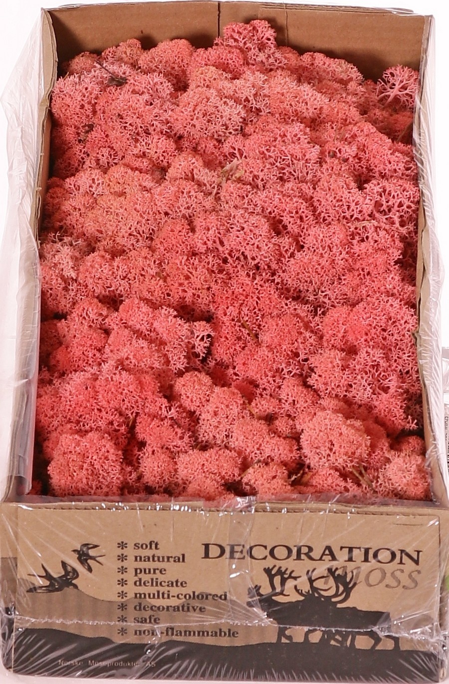Liquen de Islandia natural (Musgo), caja de 500gr