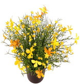 Impatiens (Fleissiges Lieschen) Pflanze, mit 184 Blüten, Vollkunststoff, H 25 cm, Ø 25 cm, im Topf