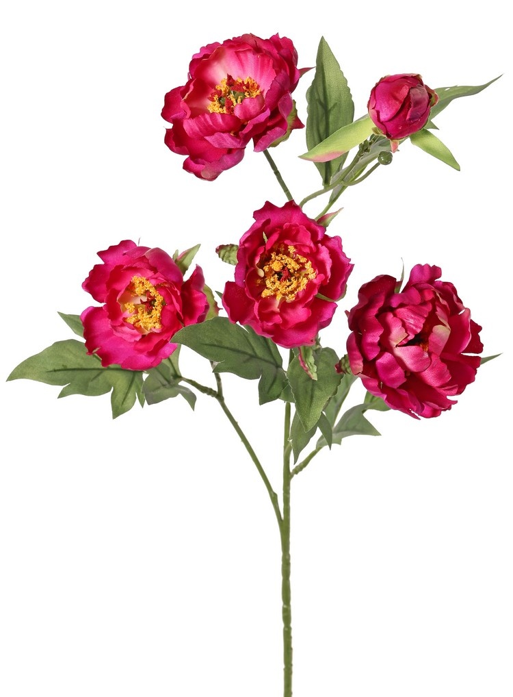 Pfingstrosenzweig mini, 3-fach verzweigt, mit 4 Blüten Ø 7 cm, (2 L/ 2 M) & 1 Knospe, 14 Blätter, 60 cm RECYCELT
