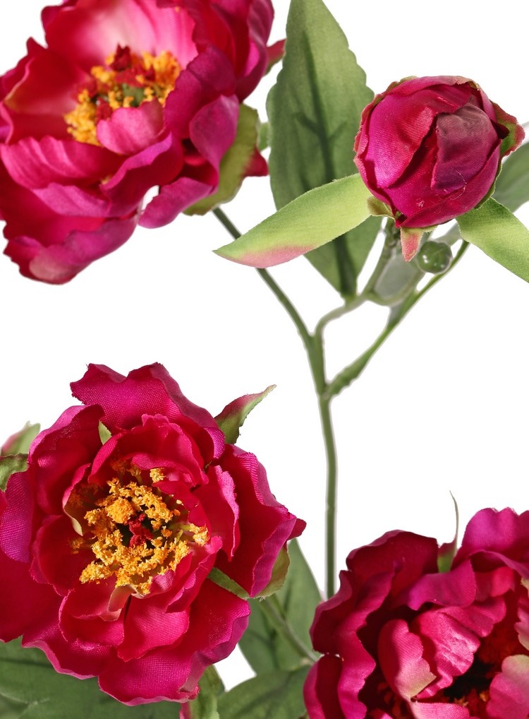 Pfingstrosenzweig mini, 3-fach verzweigt, mit 4 Blüten Ø 7 cm, (2 L/ 2 M) & 1 Knospe, 14 Blätter, 60 cm RECYCELT