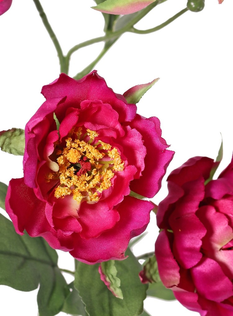 Pfingstrosenzweig mini, 3-fach verzweigt, mit 4 Blüten Ø 7 cm, (2 L/ 2 M) & 1 Knospe, 14 Blätter, 60 cm RECYCELT