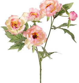 Pfingstrosenzweig mini, 3-fach verzweigt, mit 4 Blüten Ø 7 cm, (2 L/ 2 M) & 1 Knospe, 14 Blätter, 60 cm RECYCELT