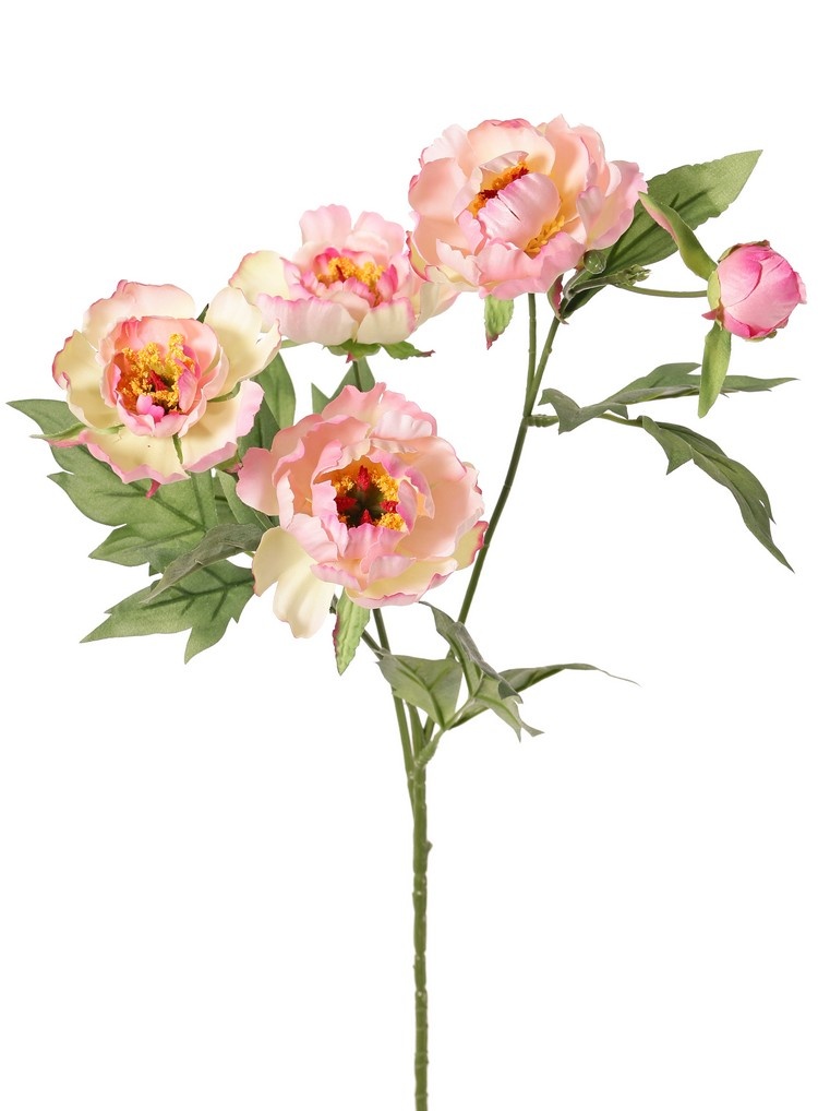 Pfingstrosenzweig mini, 3-fach verzweigt, mit 4 Blüten Ø 7 cm, (2 L/ 2 M) & 1 Knospe, 14 Blätter, 60 cm RECYCELT