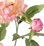Pfingstrosenzweig mini, 3-fach verzweigt, mit 4 Blüten Ø 7 cm, (2 L/ 2 M) & 1 Knospe, 14 Blätter, 60 cm RECYCELT