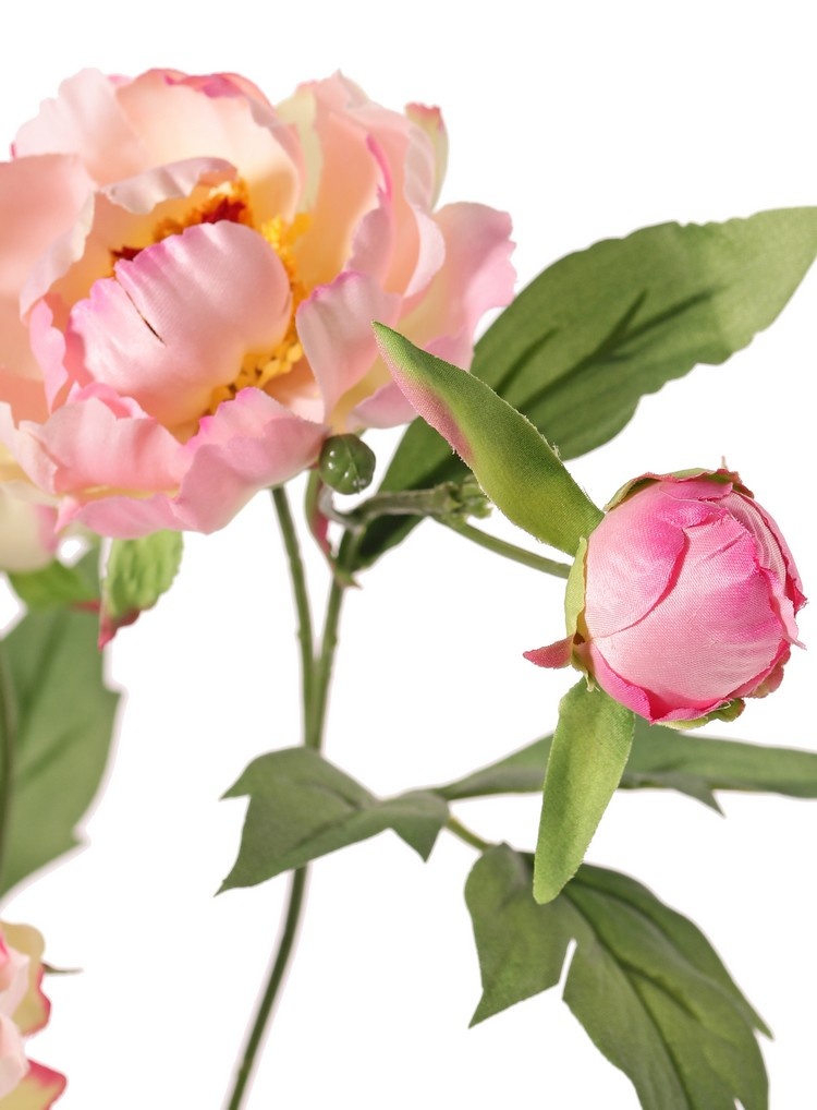 Pfingstrosenzweig mini, 3-fach verzweigt, mit 4 Blüten Ø 7 cm, (2 L/ 2 M) & 1 Knospe, 14 Blätter, 60 cm RECYCELT