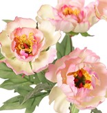 Pfingstrosenzweig mini, 3-fach verzweigt, mit 4 Blüten Ø 7 cm, (2 L/ 2 M) & 1 Knospe, 14 Blätter, 60 cm RECYCELT
