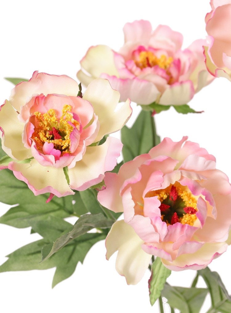 Pfingstrosenzweig mini, 3-fach verzweigt, mit 4 Blüten Ø 7 cm, (2 L/ 2 M) & 1 Knospe, 14 Blätter, 60 cm RECYCELT