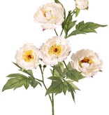 Pfingstrosenzweig mini, 3-fach verzweigt, mit 4 Blüten Ø 7 cm, (2 L/ 2 M) & 1 Knspe, 14 Blätter, 60 cm RECYCELT