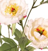 Pfingstrosenzweig mini, 3-fach verzweigt, mit 4 Blüten Ø 7 cm, (2 L/ 2 M) & 1 Knspe, 14 Blätter, 60 cm RECYCELT