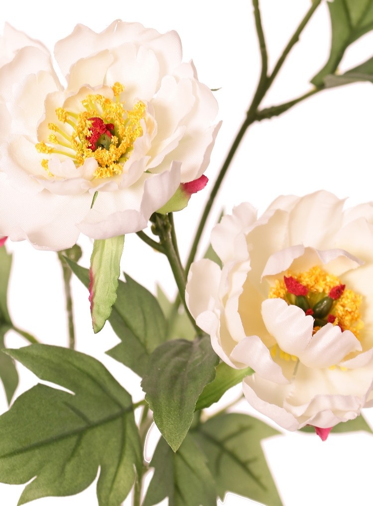 Pfingstrosenzweig mini, 3-fach verzweigt, mit 4 Blüten Ø 7 cm, (2 L/ 2 M) & 1 Knspe, 14 Blätter, 60 cm RECYCELT
