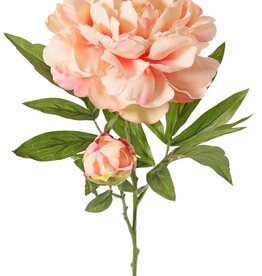 Peony with 1 open flower Ø 15 cm & 1 bud Ø 4 cm, 19 petals, 65 cm RECYCLED