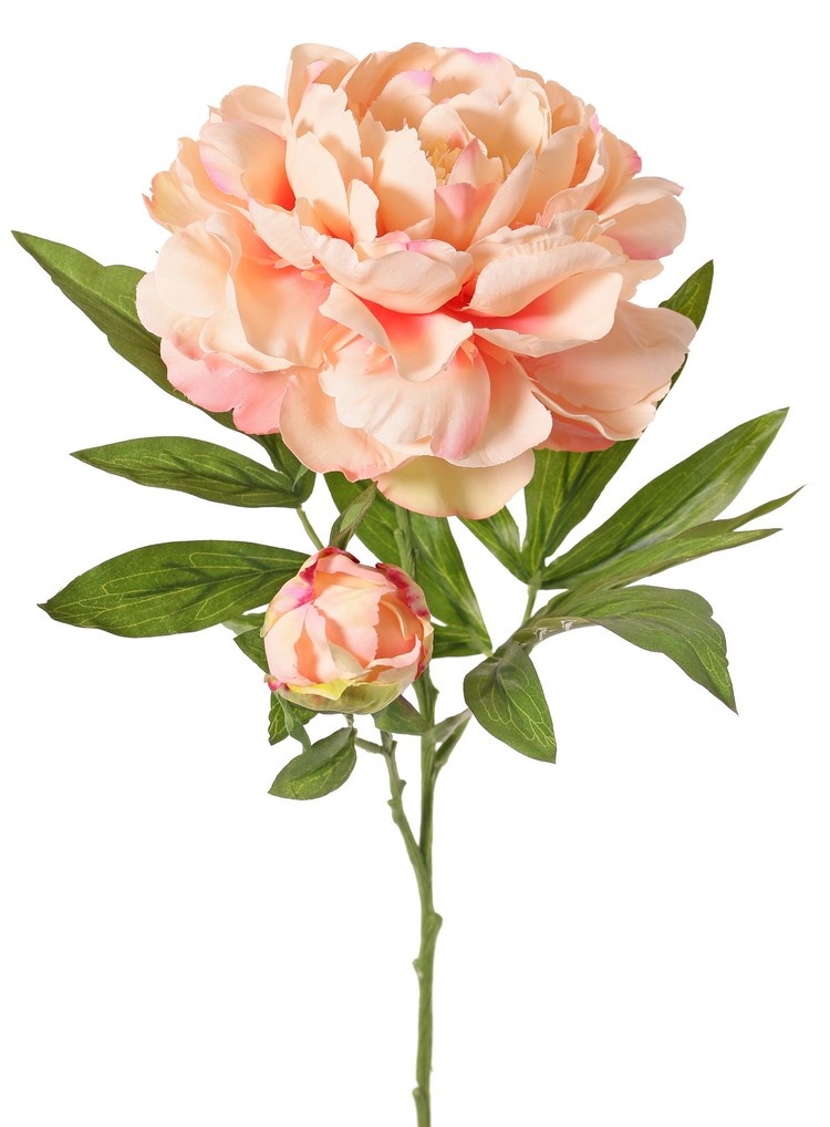 Peony with 1 open flower Ø 15 cm & 1 bud Ø 4 cm, 19 petals, 65 cm RECYCLED