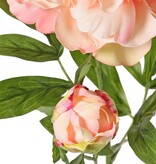 Peony with 1 open flower Ø 15 cm & 1 bud Ø 4 cm, 19 petals, 65 cm RECYCLED
