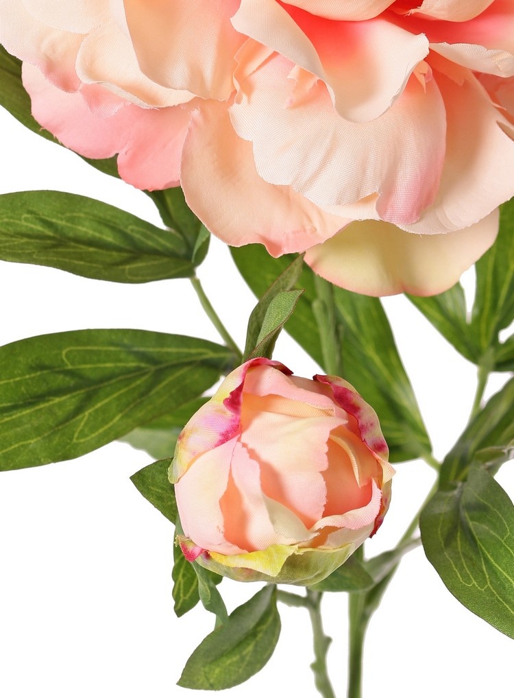 Peony with 1 open flower Ø 15 cm & 1 bud Ø 4 cm, 19 petals, 65 cm RECYCLED