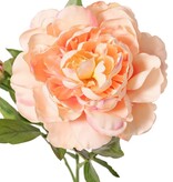 Peony with 1 open flower Ø 15 cm & 1 bud Ø 4 cm, 19 petals, 65 cm RECYCLED