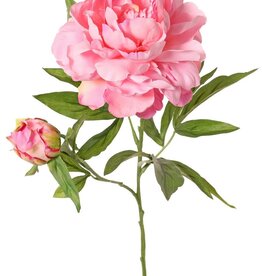Peony with 1 open flower Ø 15 cm & 1 bud Ø 4 cm, 19 petals, 65 cm RECYCLED