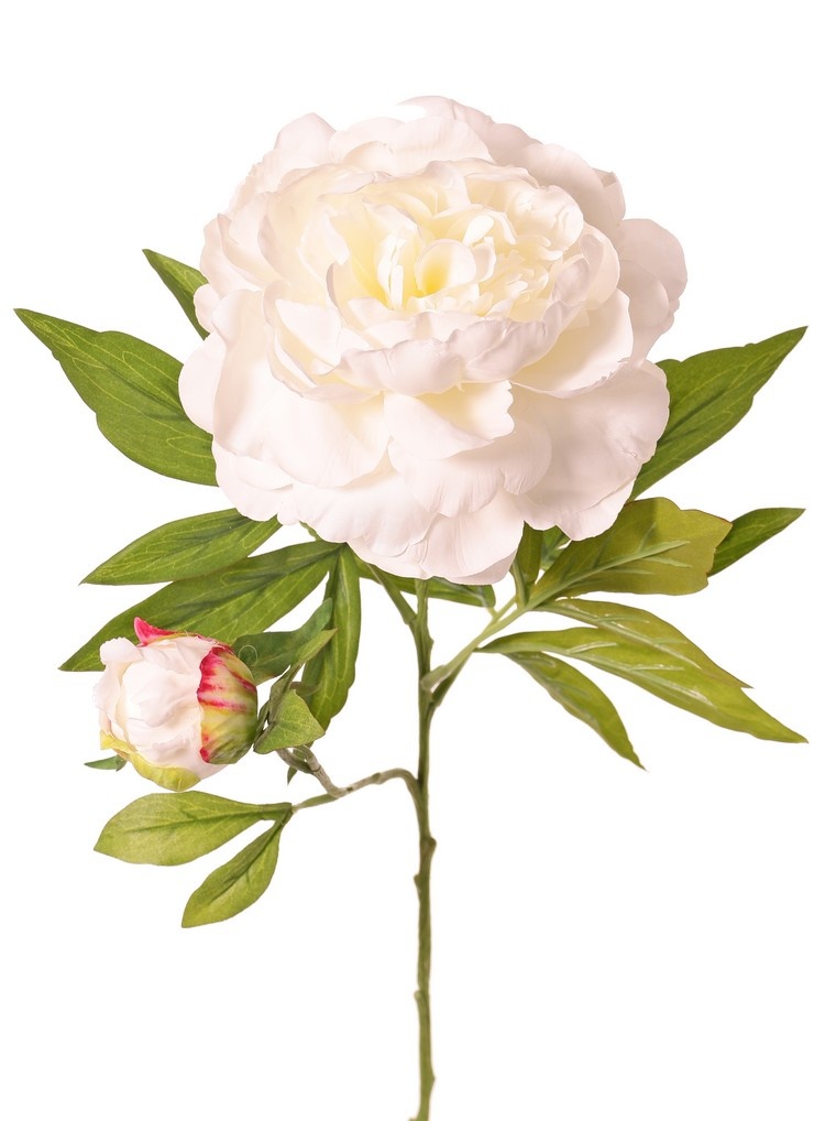 Peony with 1 open flower Ø 15 cm & 1 bud Ø 4 cm, 19 petals, 65 cm RECYCLED