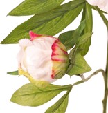 Pioenroos met 1 open bloem Ø 15 cm & 1 knop Ø 4 cm, 19 blaadjes, 65 cm RECYCLED