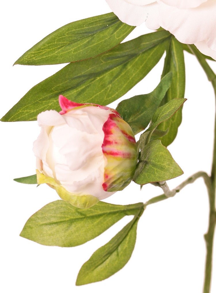 Peonía con 1 flor abierta Ø 15 cm y 1 capullo Ø 4 cm, 19 pétalos, 65 cm RECICLADO