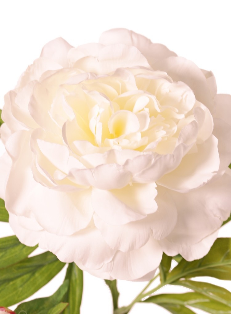 Peony with 1 open flower Ø 15 cm & 1 bud Ø 4 cm, 19 petals, 65 cm RECYCLED