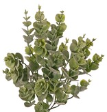 Arbusto de eucalipto (árbol de goma) mediano, con 5 brotes y 30 racimos de hojas, 40 cm, artículo completamente de plástico