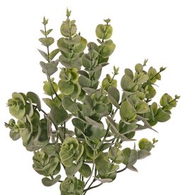 Eucalyptusbush (Gomboom) medium, met 5 uitlopers & 30 clusters blad, 40 cm, volplastic item