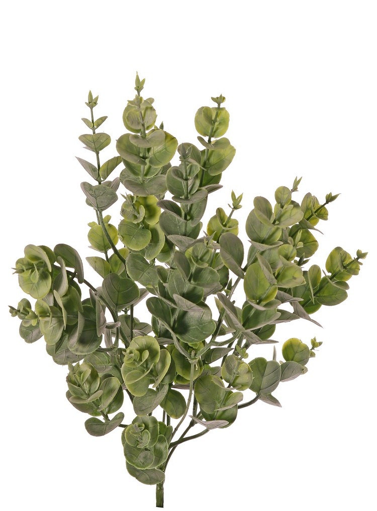 Eucalyptus bush (Gum tree) medium, with 5 shoots & 30 clusters of leaves, 40 cm, fully plastic item