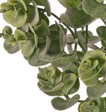 Arbusto de eucalipto (árbol de goma) mediano, con 5 brotes y 30 racimos de hojas, 40 cm, artículo completamente de plástico