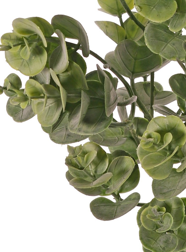 Eucalyptus bush (Gum tree) medium, with 5 shoots & 30 clusters of leaves, 40 cm, fully plastic item