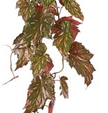 Begonia palmata colgante, 5 ramas con 26 hojas, 90 cm