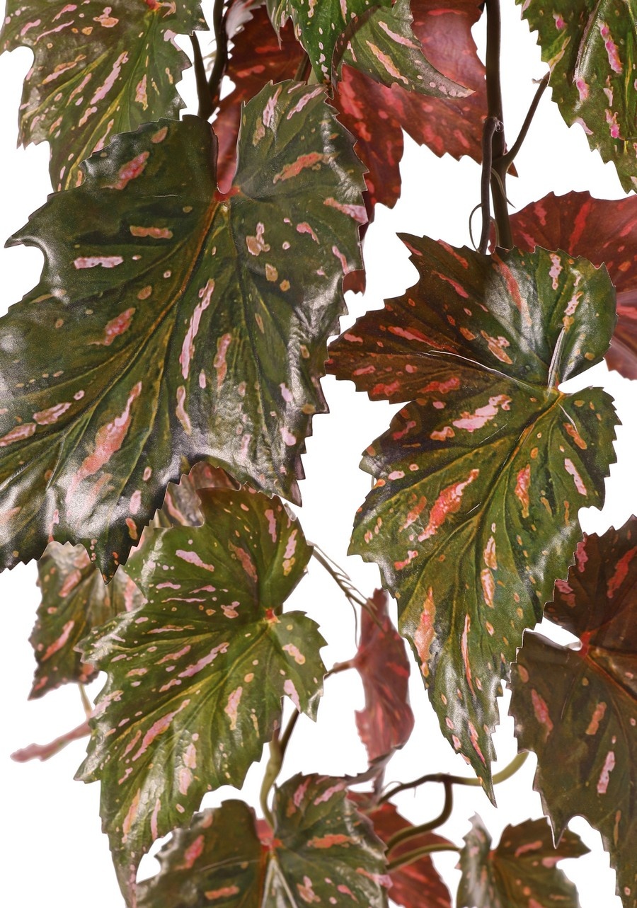 Begonia palmata colgante, 5 ramas con 26 hojas, 90 cm