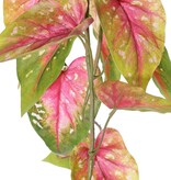 Colgante de anturio, 5 ramas con 26 hojas, 90 cm