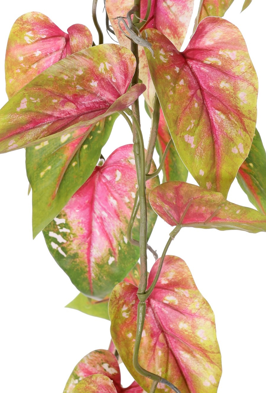 Colgante de anturio, 5 ramas con 26 hojas, 90 cm