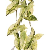 Syngonium (planta punta de flecha) colgante, ramificada 5 veces con 26 hojas, 90 cm
