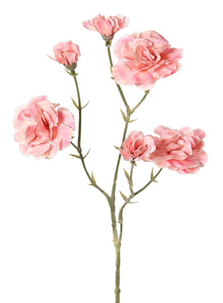 Anjer (Dianthus) 3x vertakt, met 3 bloemen (3 L, 3 S), 56 cm, real touch