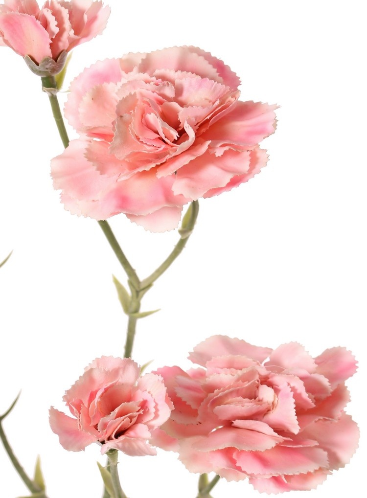 Anjer (Dianthus) 3x vertakt, met 3 bloemen (3 L, 3 S), 56 cm, real touch