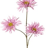 Spinnenchrysantheme mit 3 Blüten, Ø 11 cm, 75 cm, Real Touch