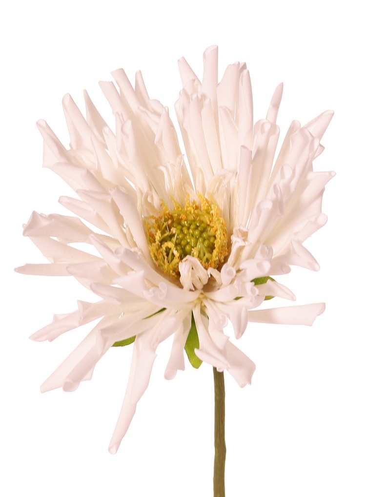 Spinchrysant met 3 bloemen, Ø 11 cm, 75 cm, real touch