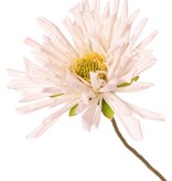 Spinnenchrysantheme mit 3 Blüten, Ø 11 cm, 75 cm, Real Touch