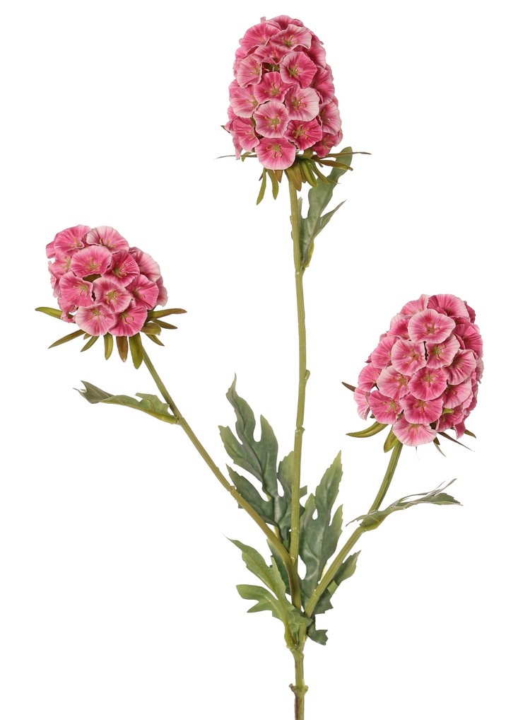 Dianthus (Chinesische Nelke) 3x verzweigt mit 3 Blüten (2x 8*5 cm, 1x 6*5 cm) & 6 Blättern, 77 cm