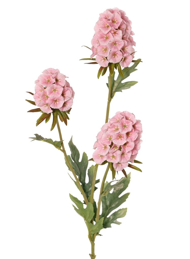 Dianthus (Chinese carnation) 3x branched with 3 flowers (2x 8*5 cm, 1x 6*5 cm) & 6 leaves, 77 cm